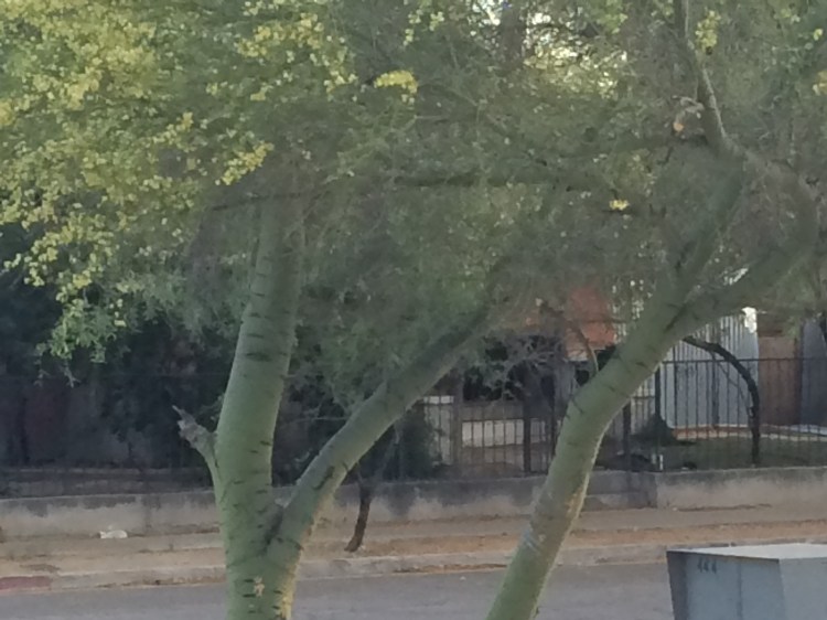 2016-04-14 18.37.24.jpg